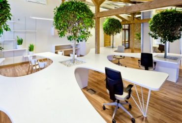 Los espacios verdes en las oficinas